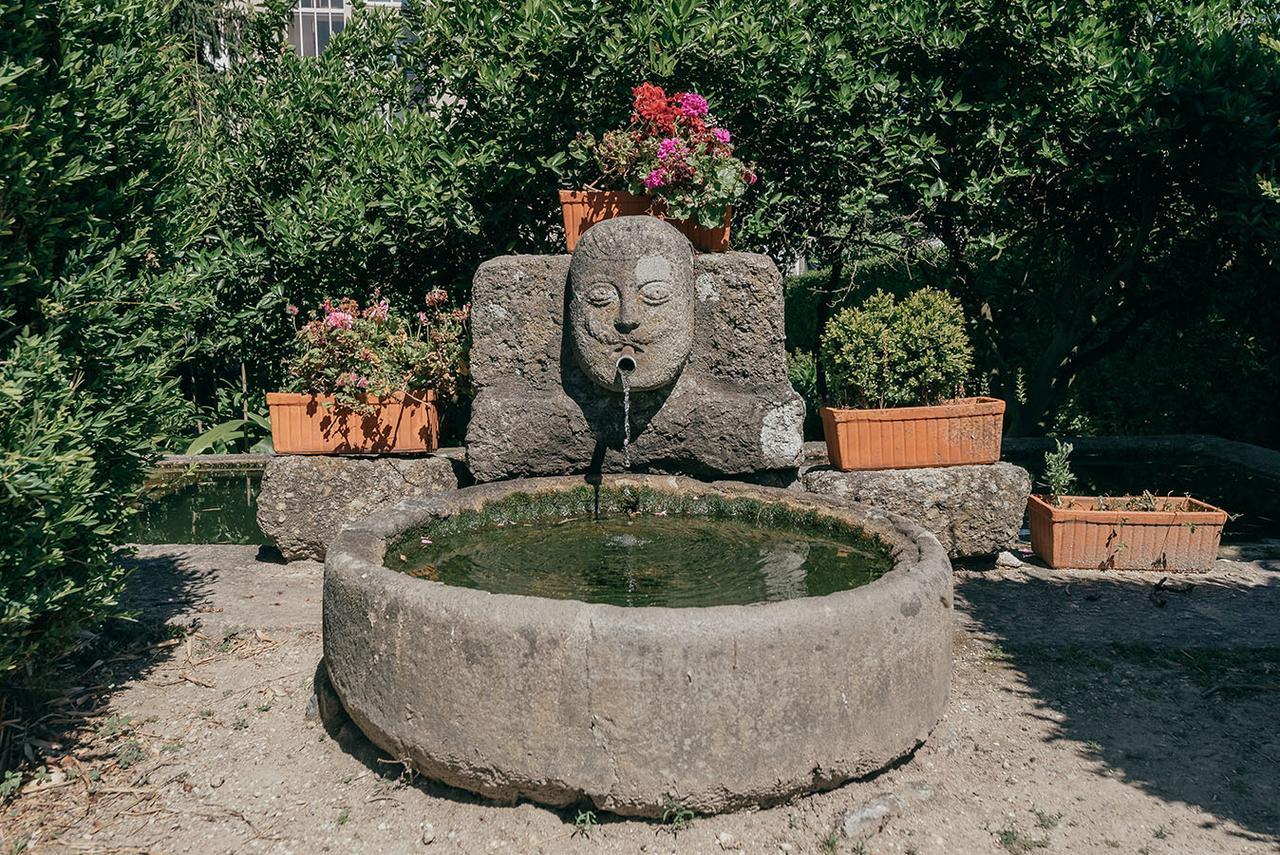 Casa Dos Pombais Bed & Breakfast Guimaraes Bagian luar foto